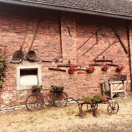 Agroturystyka Nad Stawem Centawa Zewnętrze zdjęcie