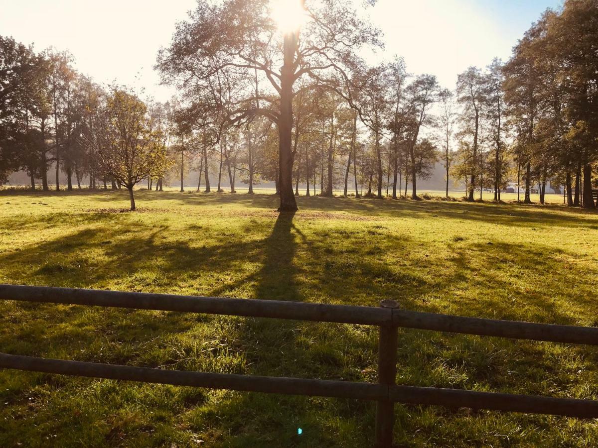 Agroturystyka Nad Stawem Centawa Zewnętrze zdjęcie